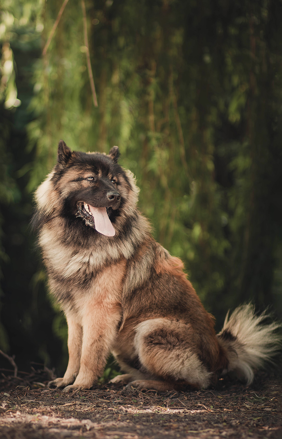 Manon Knasko Photographies